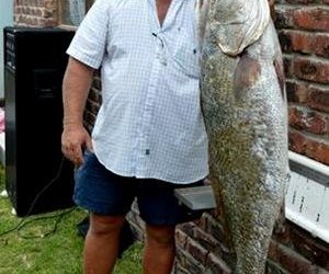 Pearly Beach Hengelnuus (15 Jan 2015)